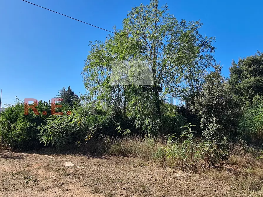 Immagine 21 di Villa in vendita  in SP49 108 a Martina Franca