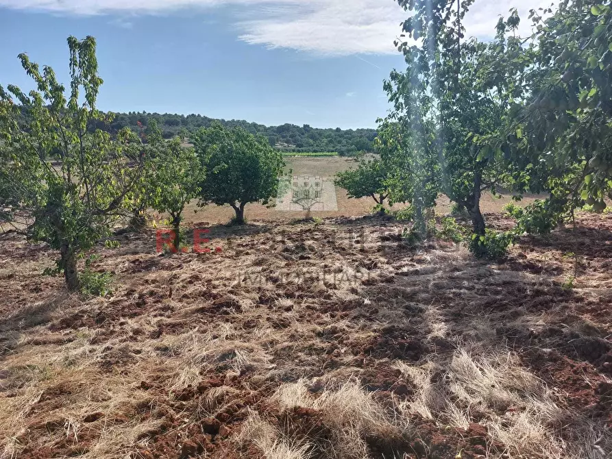 Immagine 13 di Casa indipendente in vendita  in strada sacramento a Ceglie Messapico