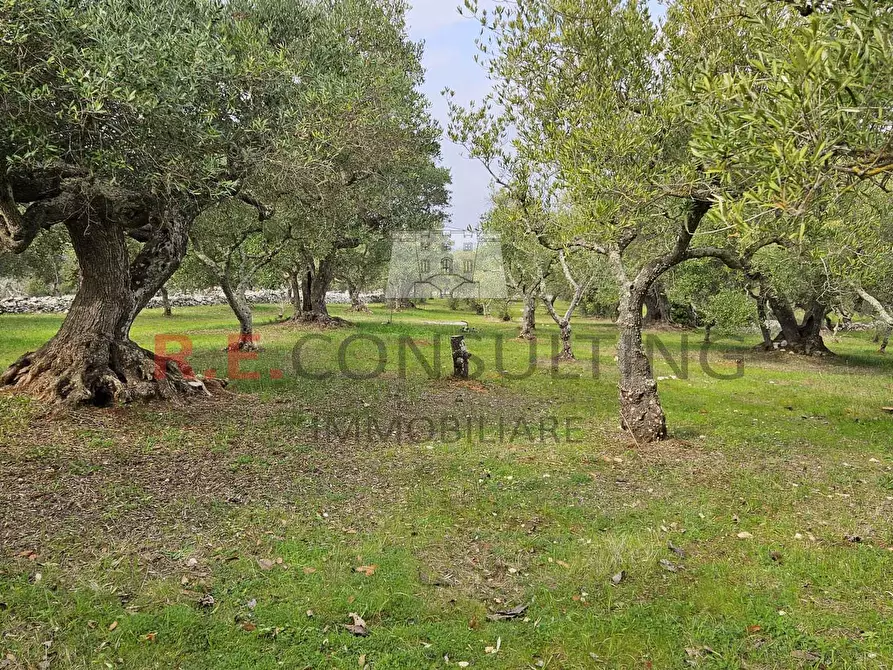 Immagine 15 di Rustico / casale in vendita  a Martina Franca