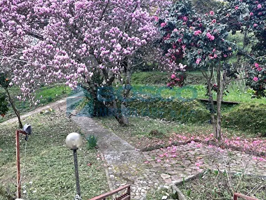 Immagine 31 di Casa indipendente in vendita  in Via II Giugno 46 a Follo