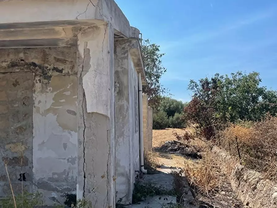 Immagine 21 di Terreno agricolo in vendita  in Traversa Maeggio di Sopra a Siracusa