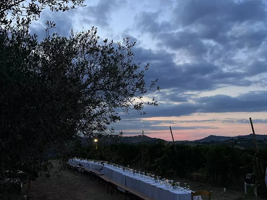 Immagine 6 di Azienda agricola in affitto  a Città Sant'angelo