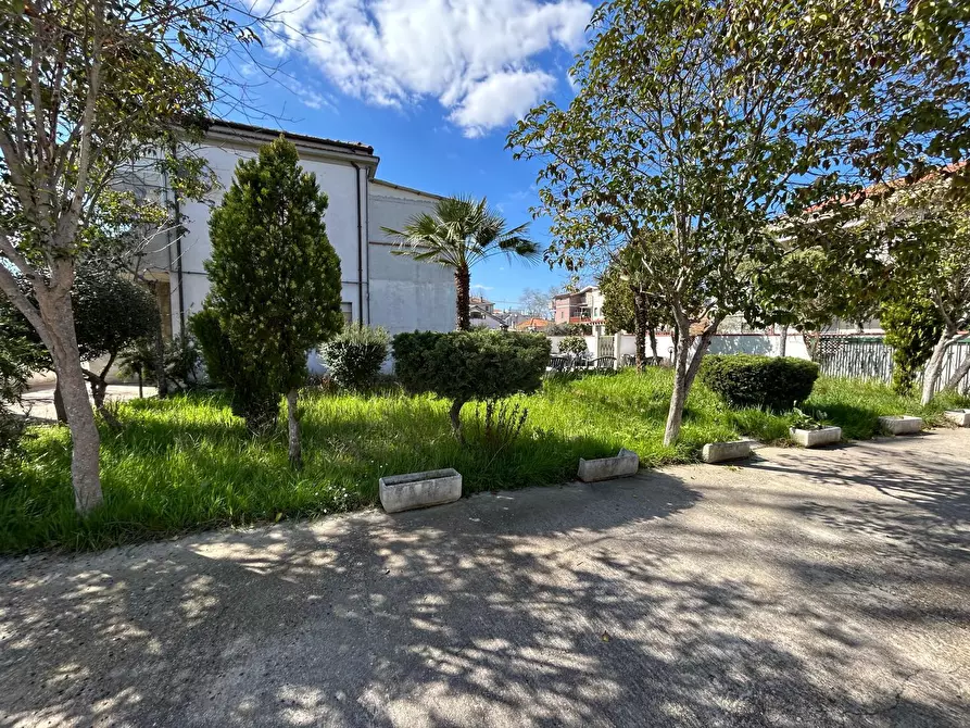 Immagine 4 di Casa trifamiliare in vendita  a Pescara