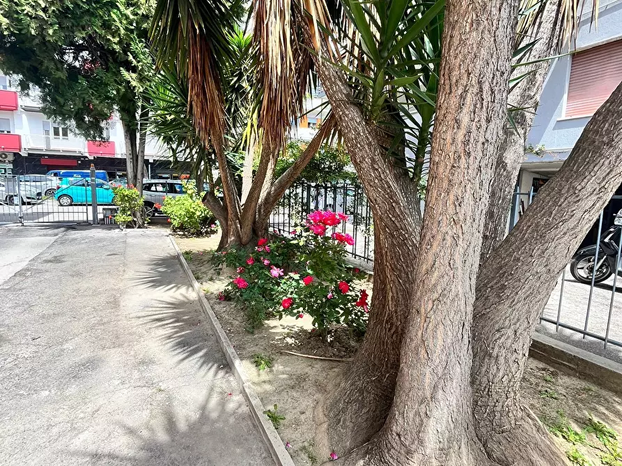 Immagine 4 di Pentalocale in vendita  a Pescara