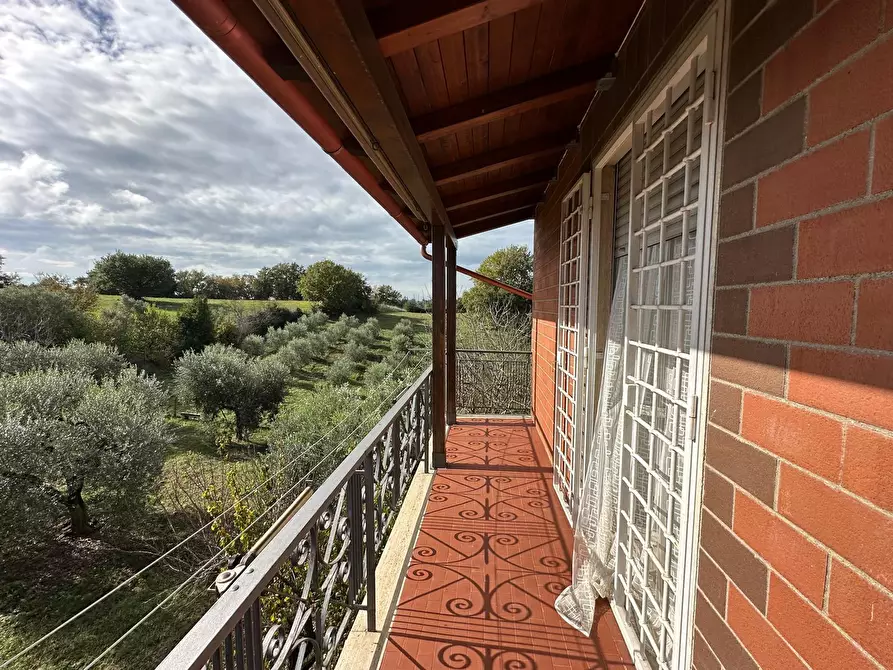 Immagine 31 di Casa indipendente in vendita  a Civitella San Paolo