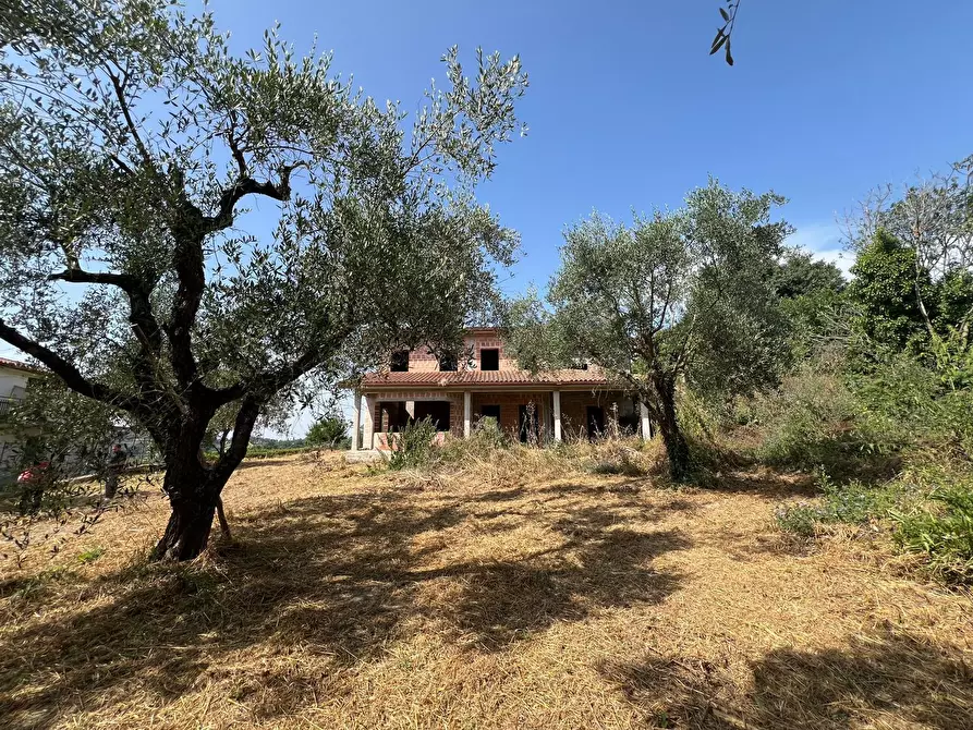 Immagine 5 di Villa in vendita  a Civitella San Paolo
