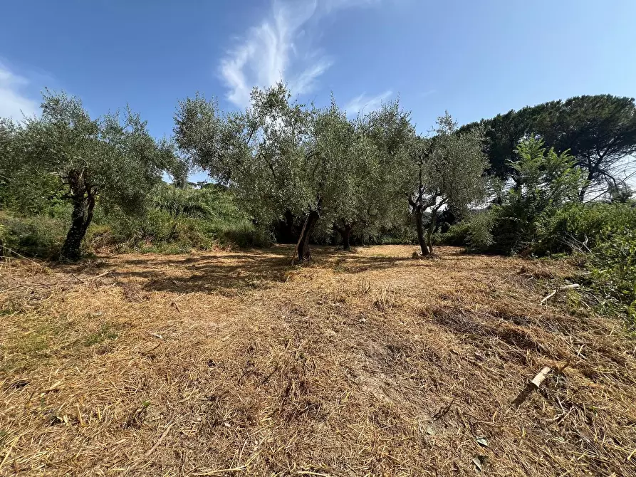 Immagine 21 di Villa in vendita  a Civitella San Paolo