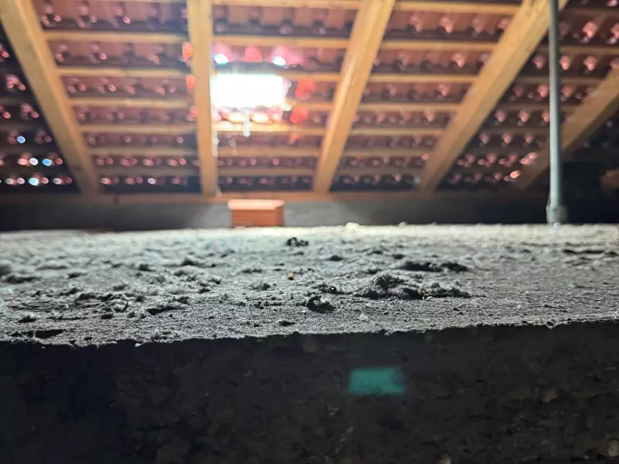 Immagine 19 di Porzione di casa in vendita  in Via Milanere 29 a Almese