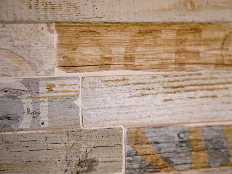 Immagine 32 di Bilocale in affitto  in via Giuseppe Mazzini 44 a Torino