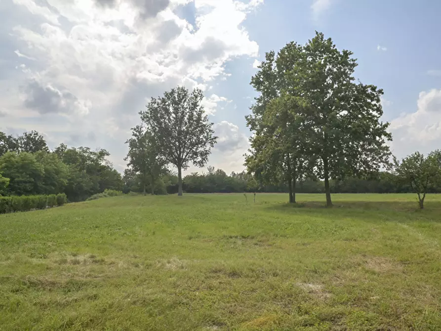 Immagine 11 di Agriturismo in vendita  in Via Vauda 56 a Lombardore