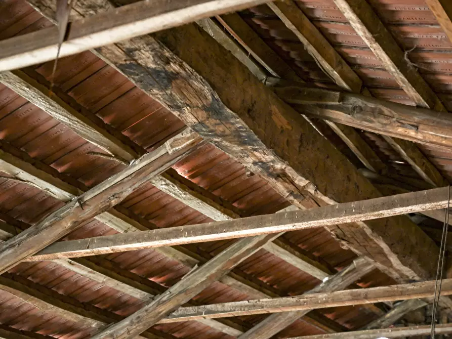 Immagine 90 di Porzione di casa in vendita  in frazione Boschi 136 a Barbania