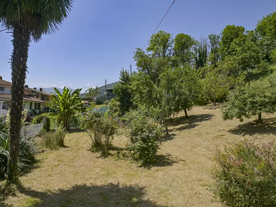 Immagine 7 di Villa in vendita  in via luinengo cossi 61 a Borgiallo