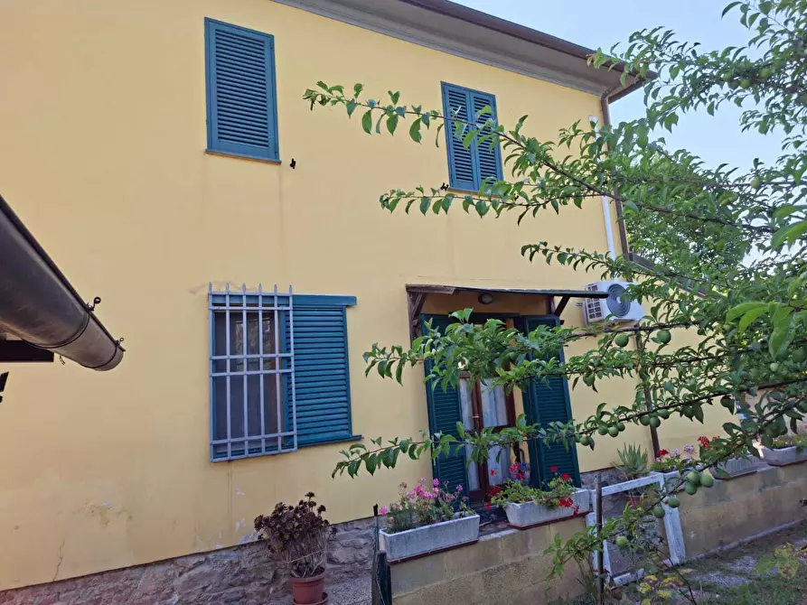 Immagine 29 di Terratetto in vendita  a San Giuliano Terme