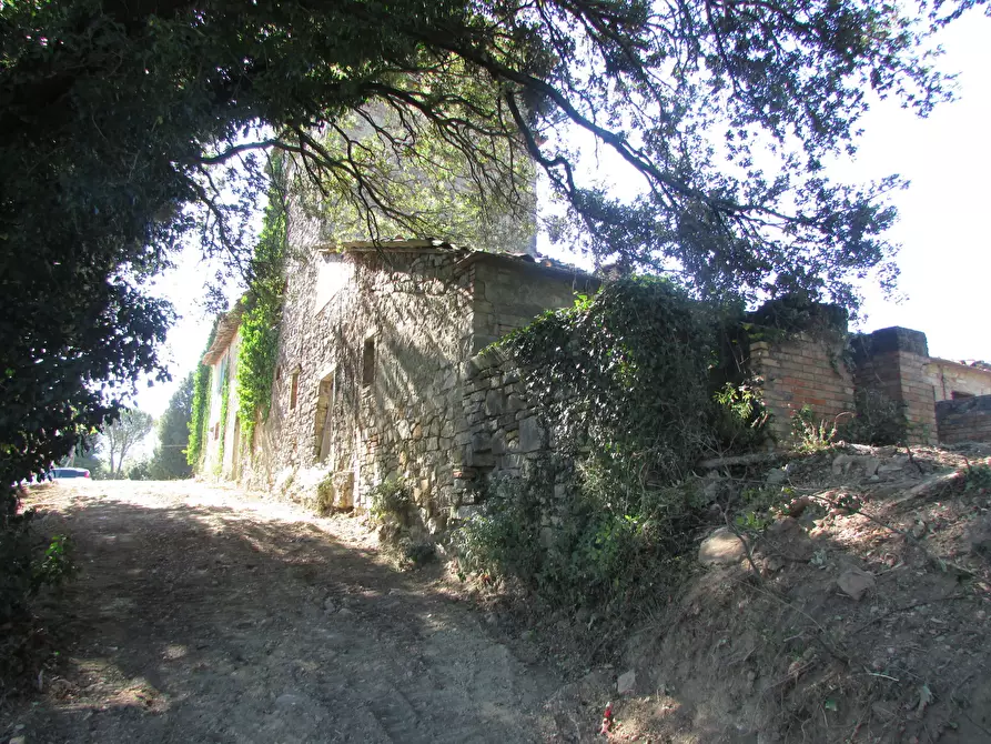 Immagine 12 di Rustico / casale in vendita  a Todi
