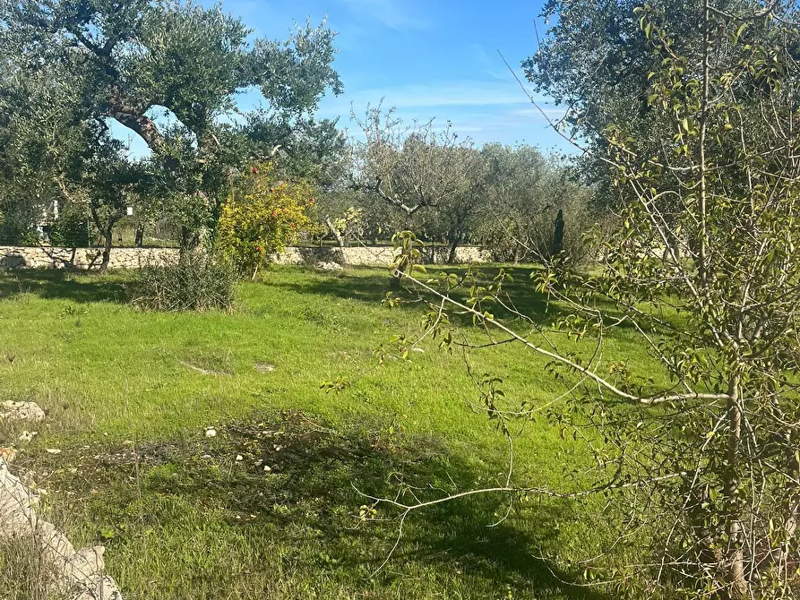 Immagine 14 di Rustico / casale in vendita  in Via Vd'impelo a Castellana Grotte