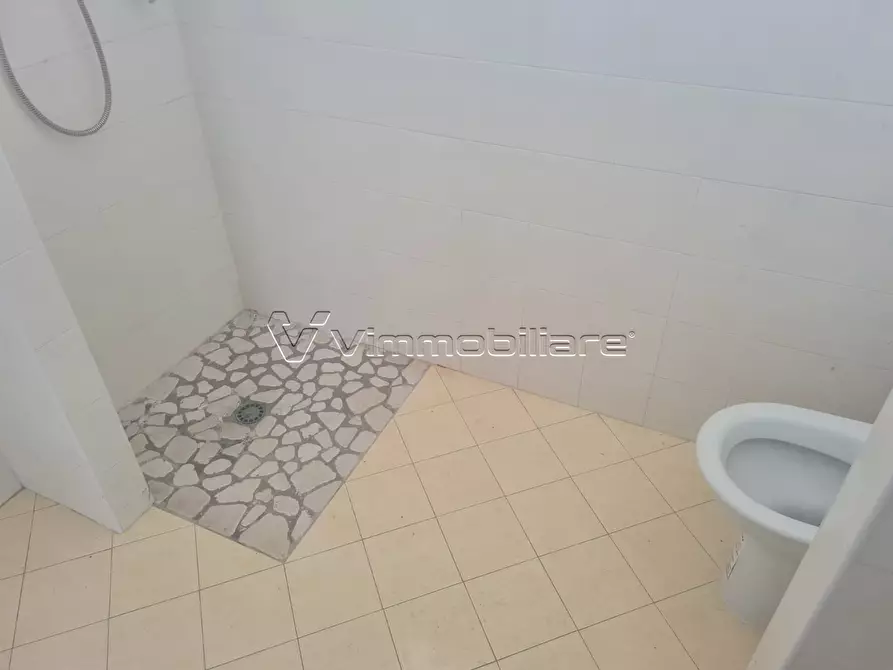 Immagine 22 di Magazzino in vendita  in via pezza bassa 4 a Poiana Maggiore