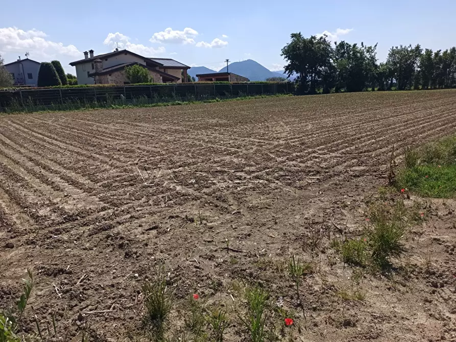 Immagine 4 di Terreno agricolo in vendita  in Via Buse a Barbarano Mossano