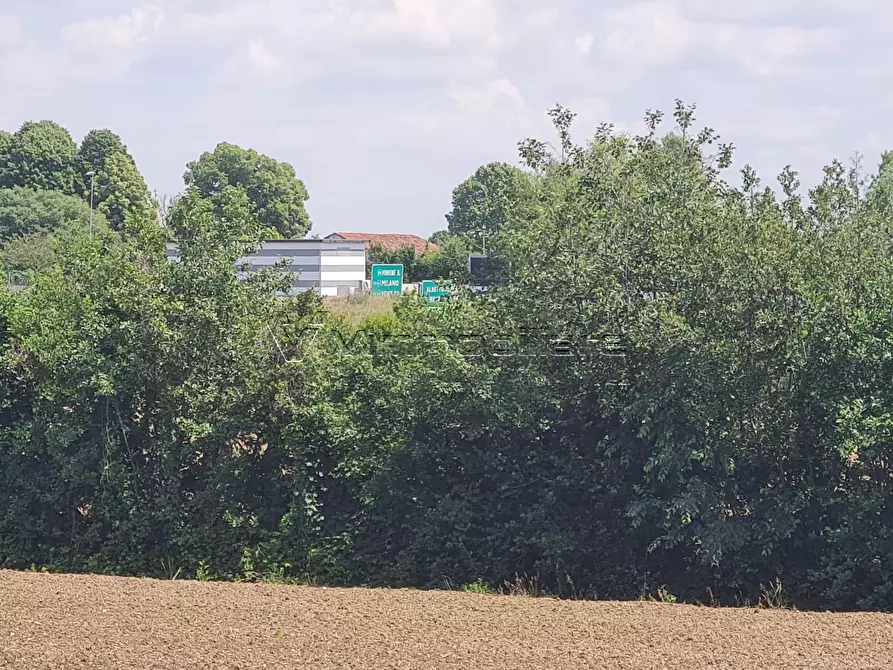 Immagine 4 di Terreno agricolo in vendita  in Via Cà Bassa a Albettone