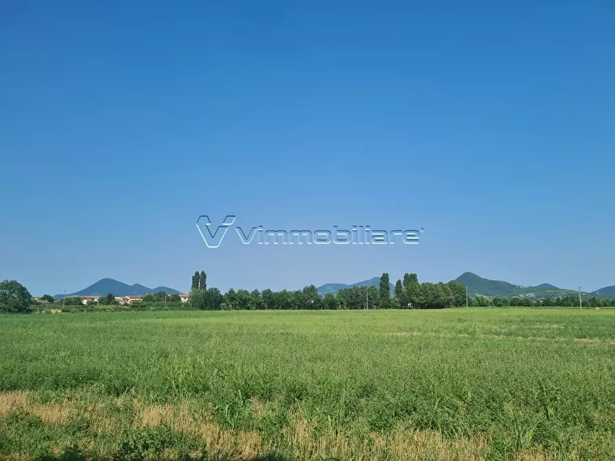 Immagine 6 di Magazzino in vendita  in via disturbo 10 a Agugliaro