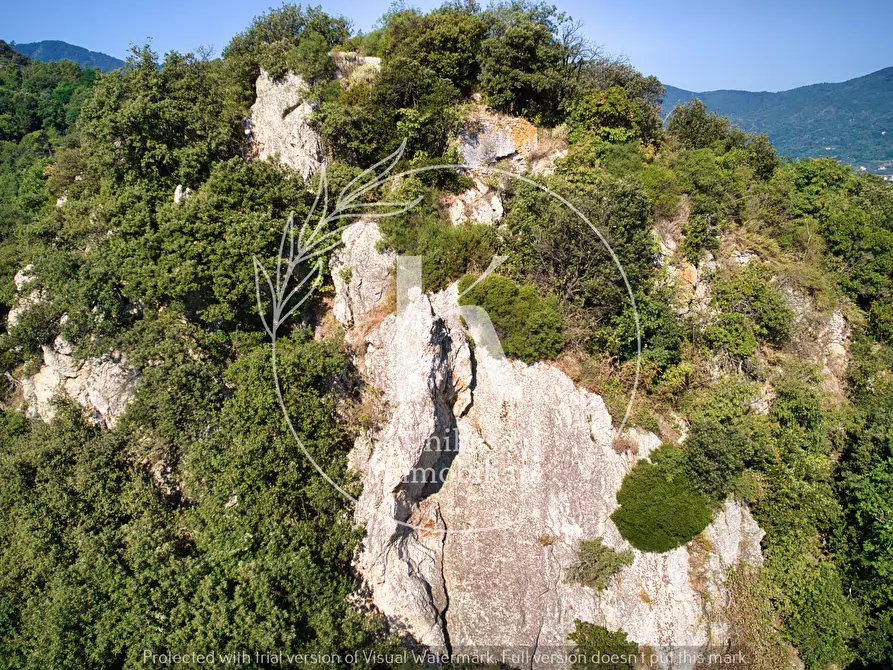 Immagine 13 di Villa in vendita  in Via Parodi a Quiliano