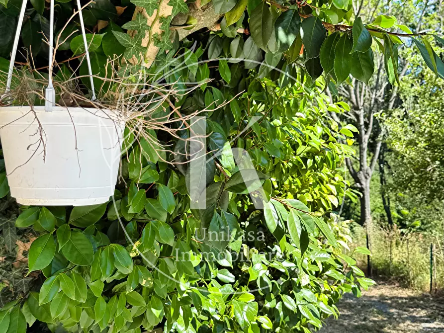 Immagine 14 di Casa indipendente in vendita  in Località Mezzano 22 a Stella
