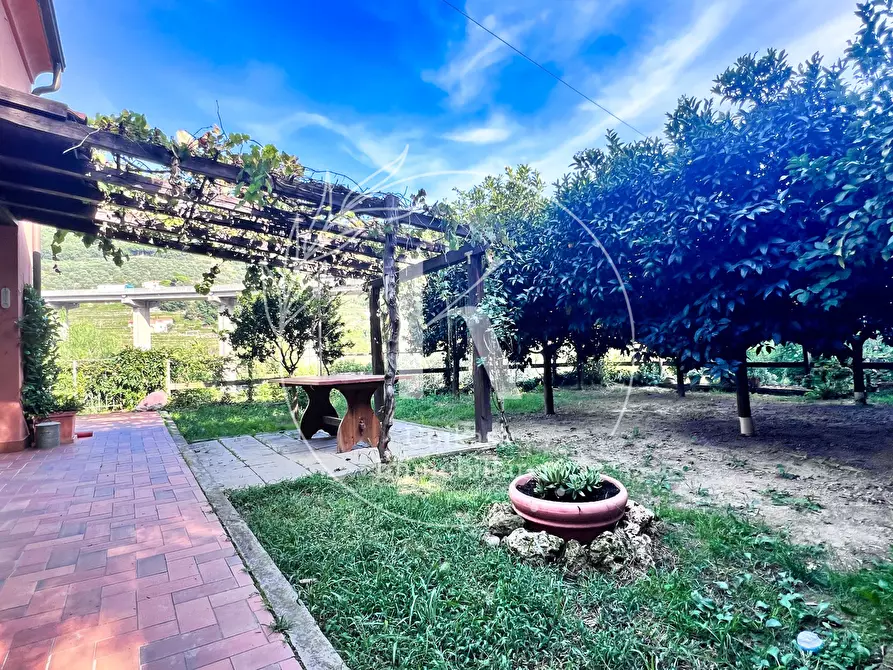 Immagine 13 di Villa in vendita  in Via per Calice a Finale Ligure