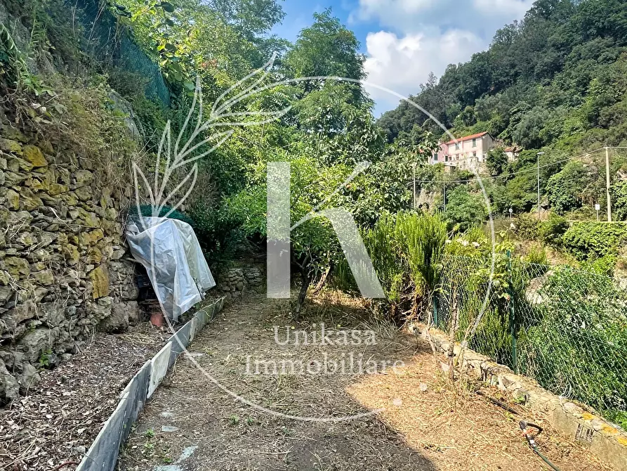 Immagine 31 di Casa indipendente in vendita  in Via Santuario a Savona