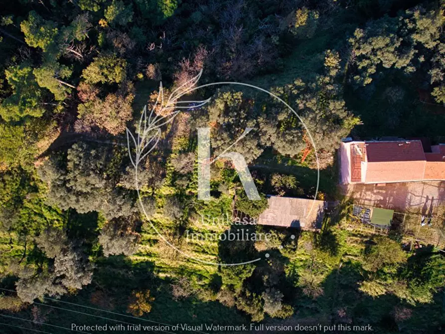 Immagine 4 di Terratetto in vendita  in San Nazario a Savona