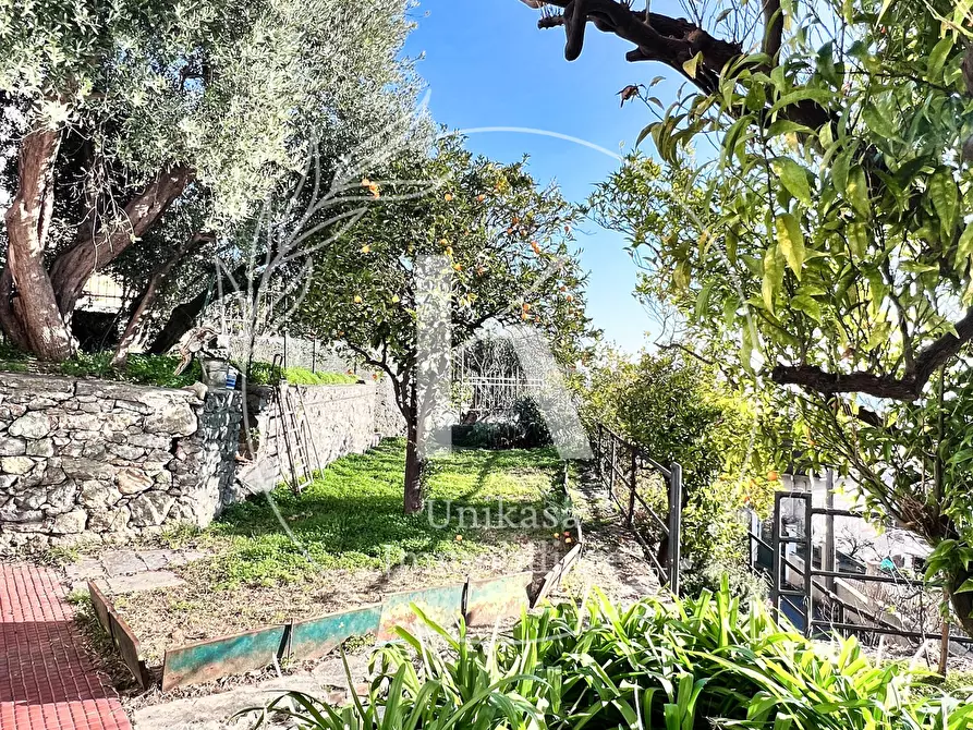 Immagine 12 di Villa in vendita  in Via Bellavista 12 a Savona