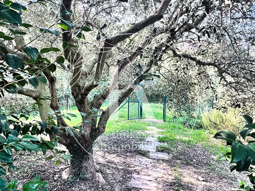 Immagine 24 di Villa in vendita  in Via per Calice a Finale Ligure