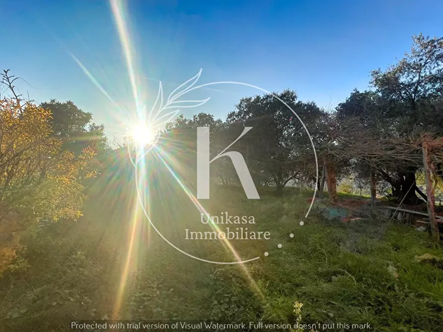 Immagine 34 di Terratetto in vendita  in San Nazario a Savona