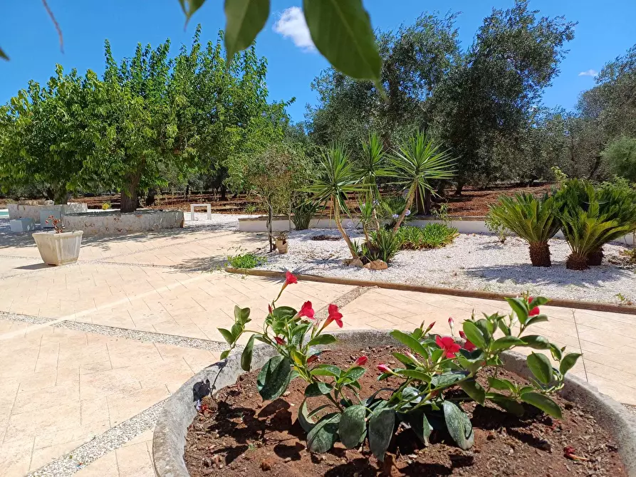 Immagine 9 di Casa indipendente in vendita  in Strada Provinciale 28 a Ostuni