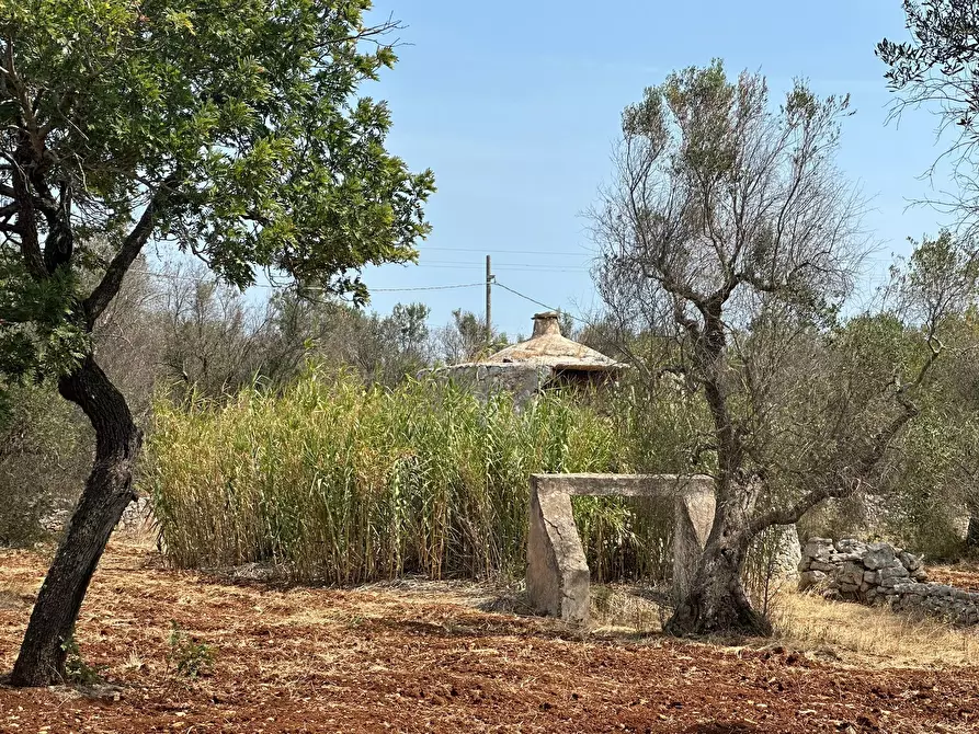 Immagine 12 di Casa indipendente in vendita  in Strada Provinciale 28 a Ostuni
