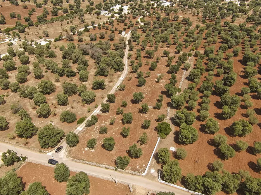 Immagine 4 di Terreno edificabile in vendita  in Contrada Specchia a Carovigno