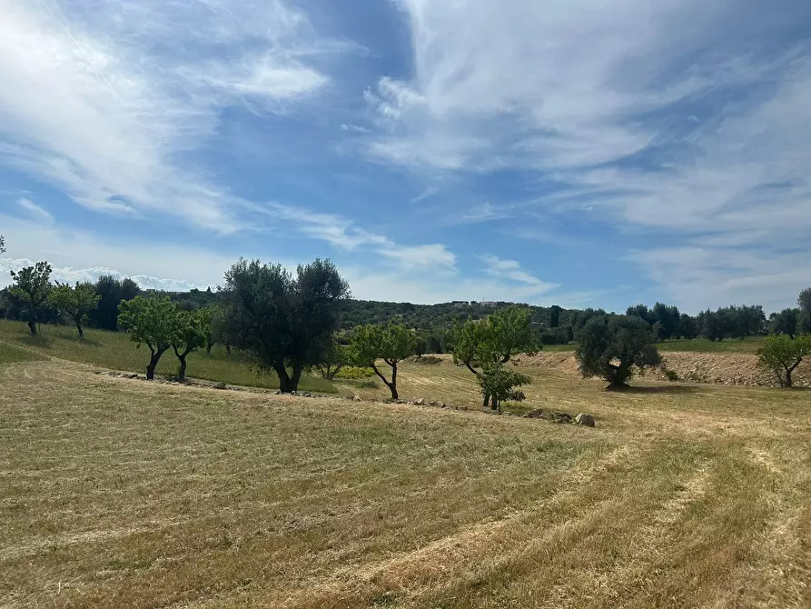 Immagine 10 di Rustico / casale in vendita  in Strada Provinciale 17 a Ostuni