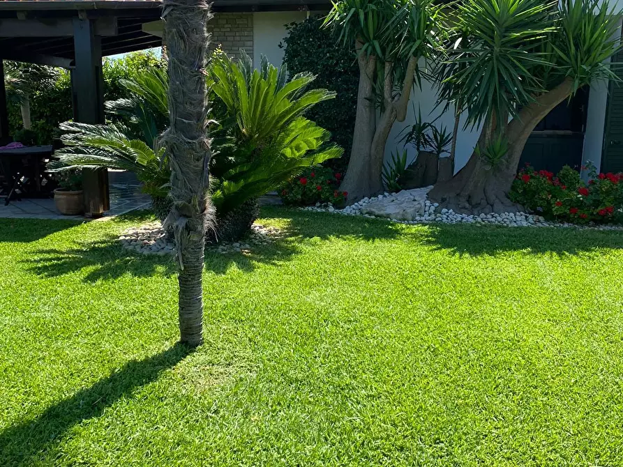 Immagine 33 di Villa in vendita  in Strada Provinciale 35 a Carovigno