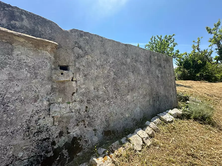 Immagine 9 di Villa in vendita  in Contrada Fantese 38 a Ostuni