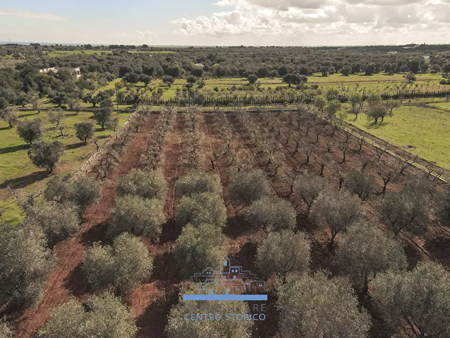 Immagine 10 di Villa in vendita  in contrada sierri a Carovigno