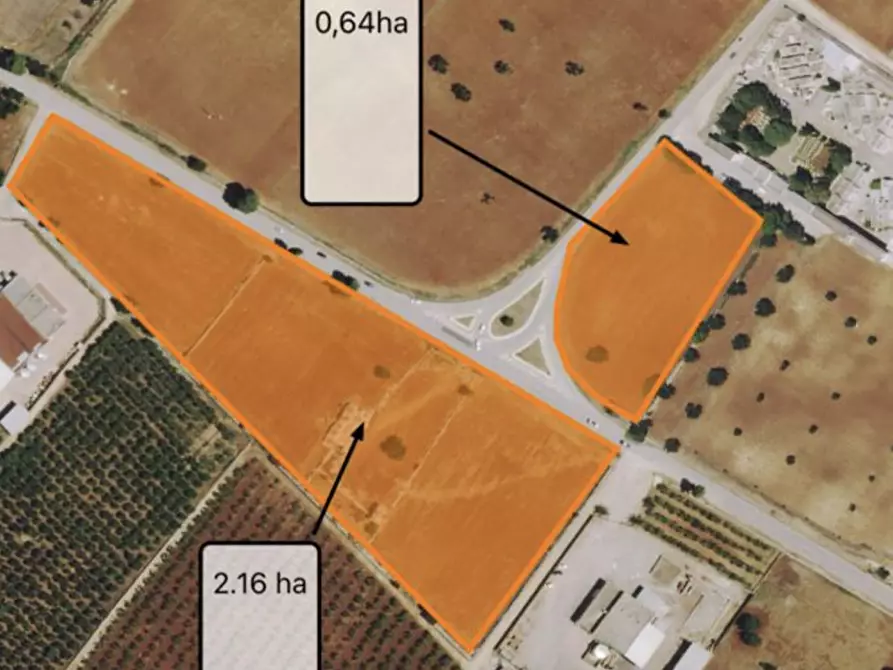 Immagine 11 di Casa indipendente in vendita  in Strada Statale 16 Adriatica a Ostuni