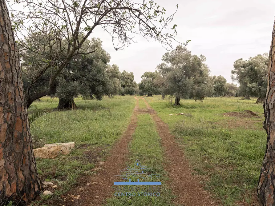 Immagine 12 di Rustico / casale in vendita  in sp 19 a Ostuni