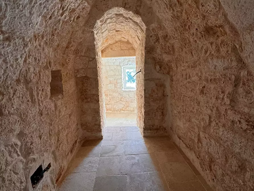 Immagine 21 di Villa in vendita  in Contrada Semeraro, sn a Ceglie Messapico