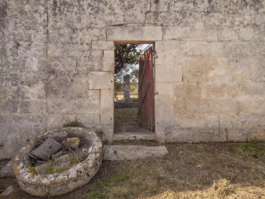Immagine 5 di Rustico / casale in vendita  a Ostuni