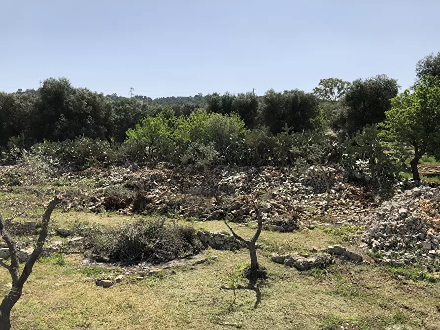 Immagine 12 di Casa indipendente in vendita  in Contrada Malandrino a Ostuni