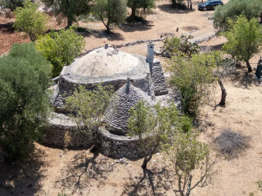 Immagine 7 di Casa indipendente in vendita  in Strada Provinciale 29 a Ostuni