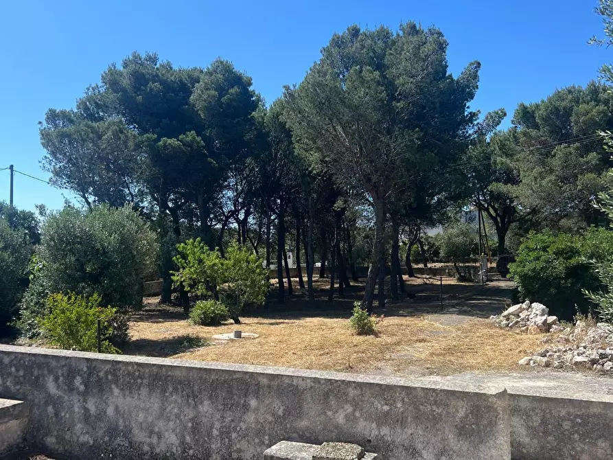 Immagine 5 di Villa in vendita  in Strada Provinciale 17 SNC a Ostuni