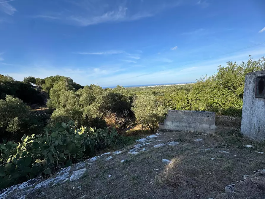Immagine 13 di Rustico / casale in vendita  in corso giuseppe mazzini a Ostuni