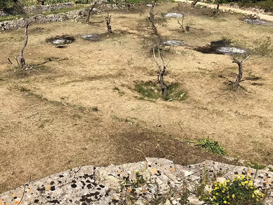 Immagine 9 di Casa indipendente in vendita  in Contrada Malandrino a Ostuni