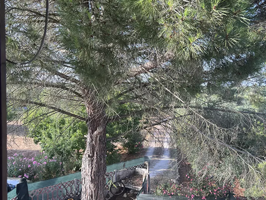 Immagine 26 di Rustico / casale in vendita  in Strada Provinciale 14 4 a Ostuni