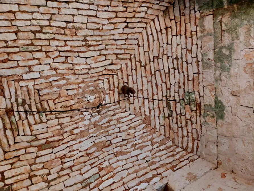 Immagine 11 di Casa indipendente in vendita  in Contrada Panza a Cisternino