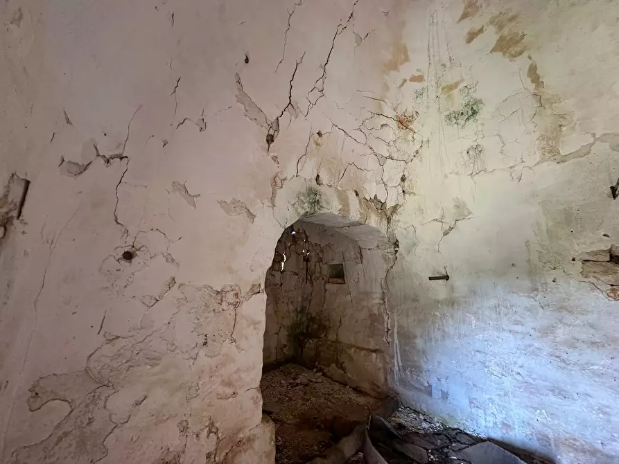 Immagine 6 di Rustico / casale in vendita  in Strada Provinciale 17 a Ostuni